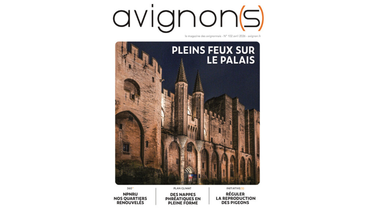 avignon(s) n°102
