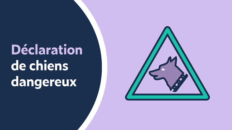 Déclarer un animal dangereux